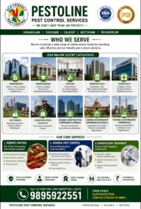 Termite Control Services Near Me