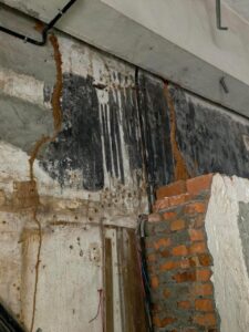 Bed Bug Treatment Palarivattom