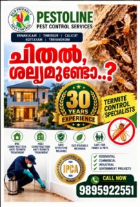 Termite Control Services